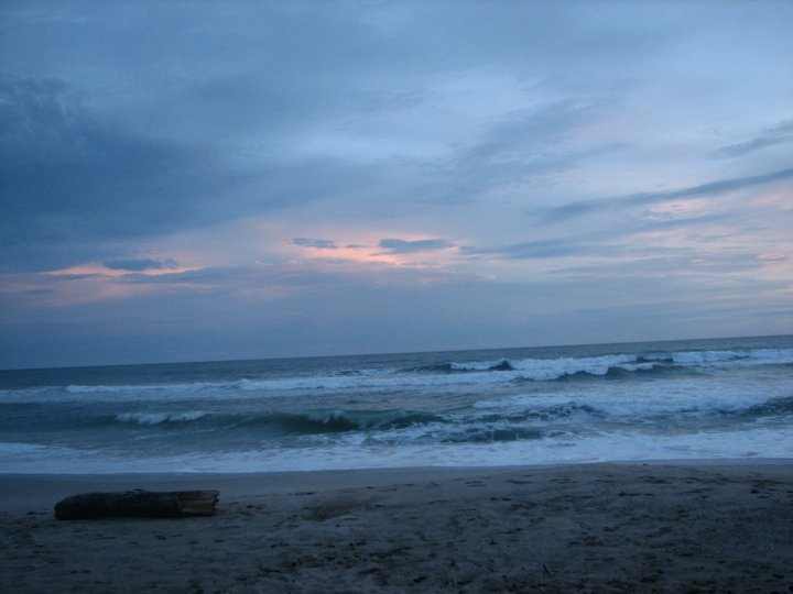 36671_1498669354779_6161196_n