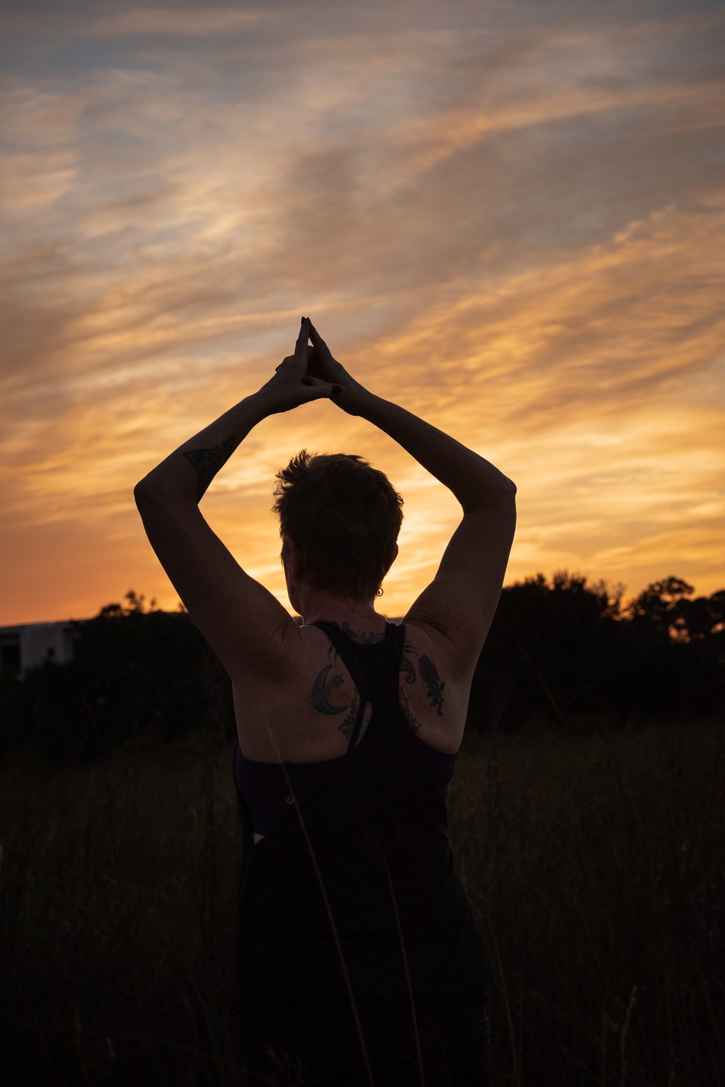 arms up twilight